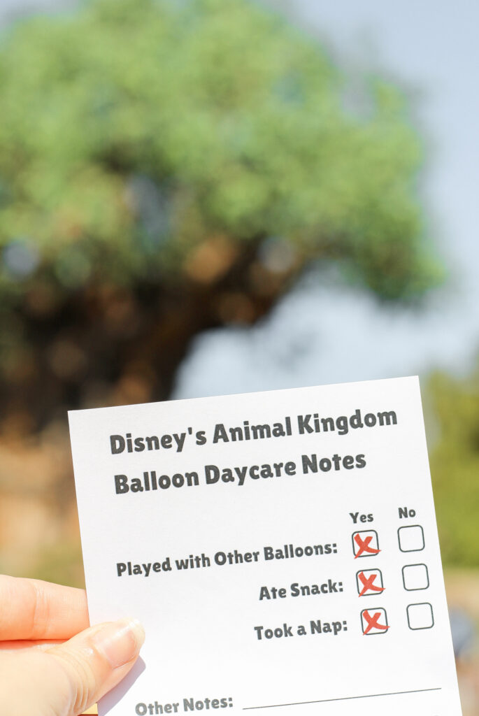 new balloon daycare notes at Disney's Animal Kingdom