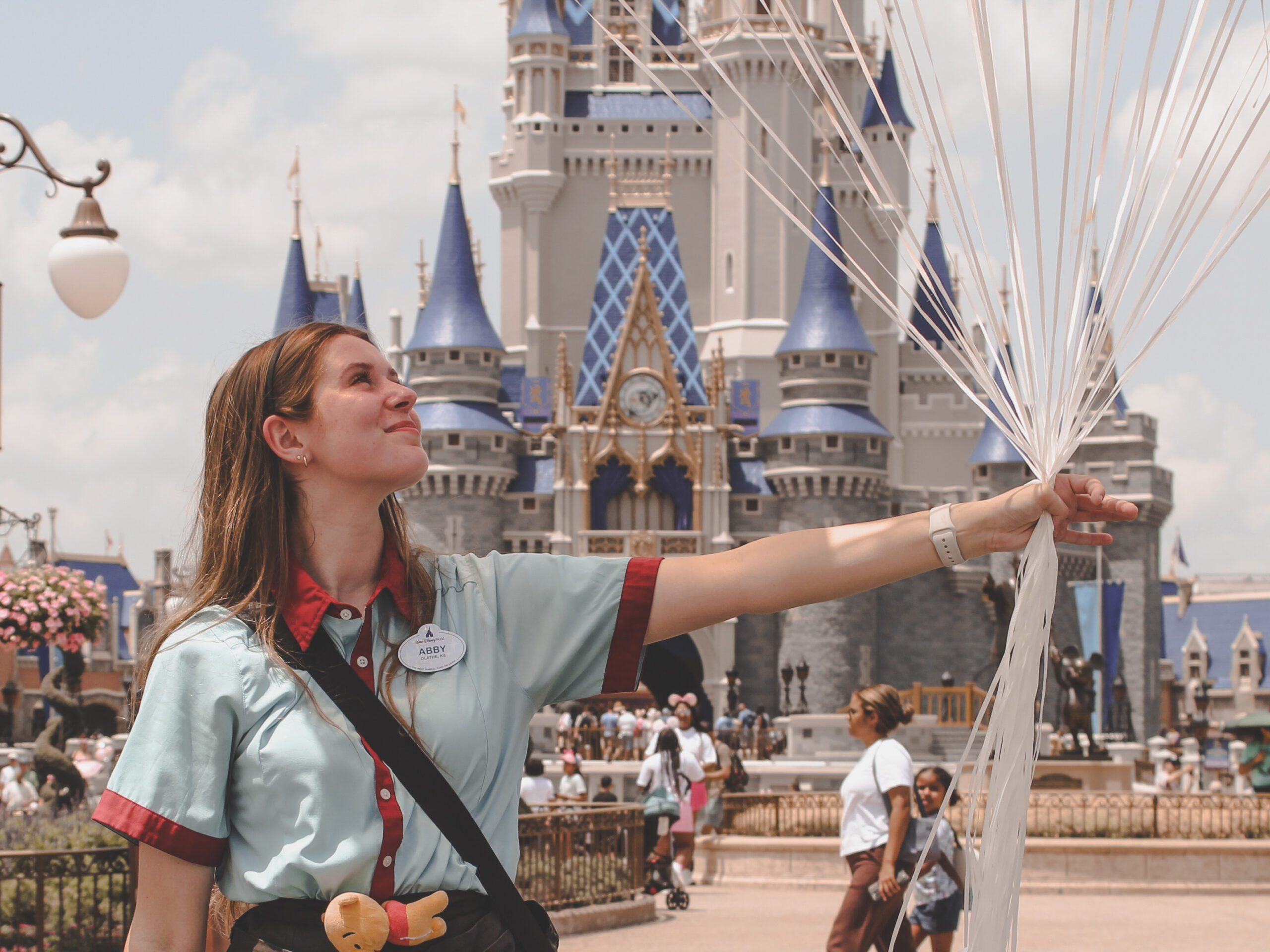 CINDERELLA CASTLE’S NEW PAINT